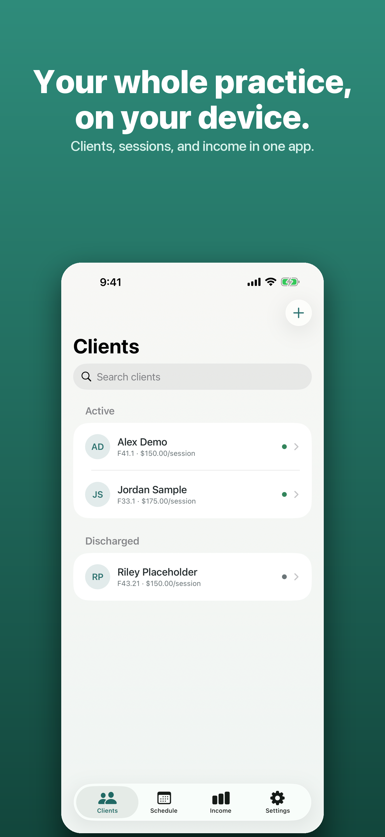 Solenote — client roster with intake details, fees, and diagnosis codes